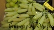 banan banana